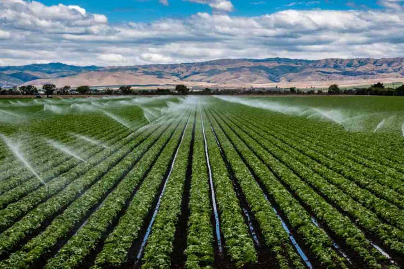 DCM Shriram Foundation and The/Nudge Institute announce INR 2.6 Crore Prize Challenge for solving agricultural and water issues